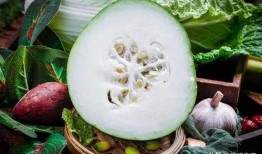 富富吃网红瓜,揭秘娱乐圈幕后故事